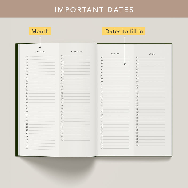 2025 Diary (160 Pages)