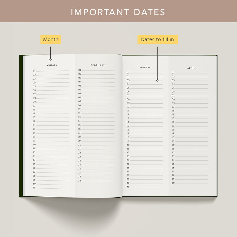 2026 Planner (320 Pages)