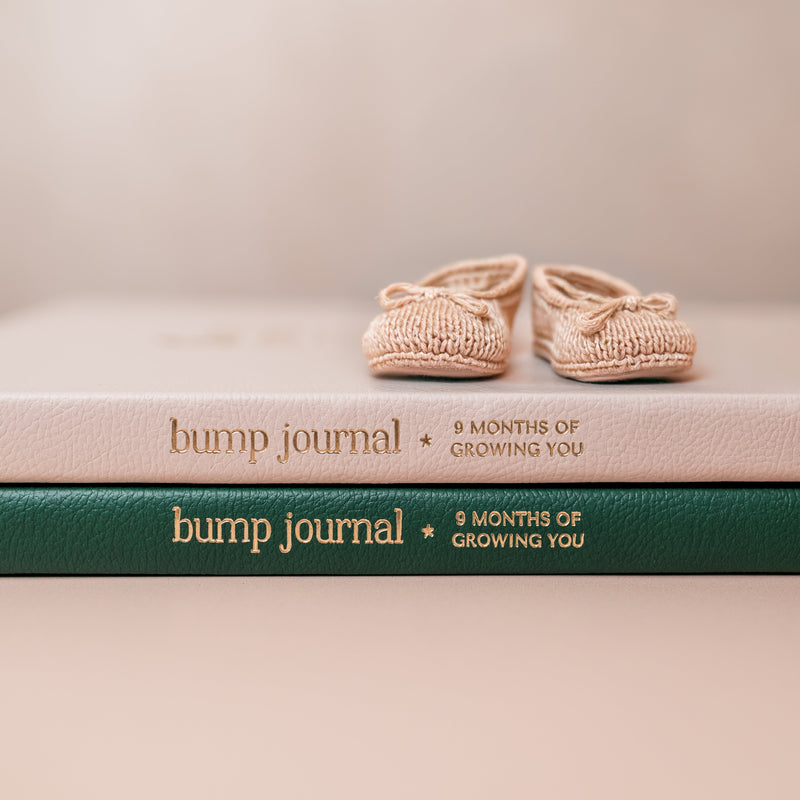 Pregnancy Journal