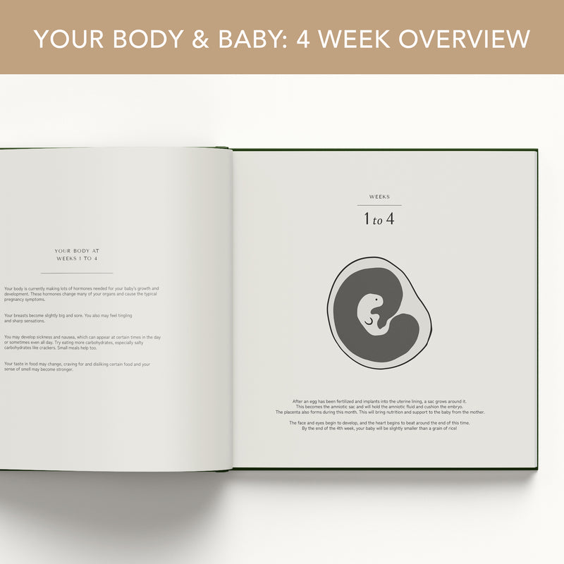 Pregnancy Journal