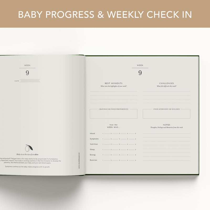 Pregnancy Journal